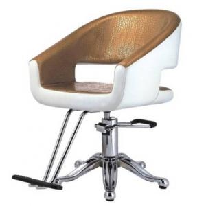 Moder Beauty Salon Chair Styling