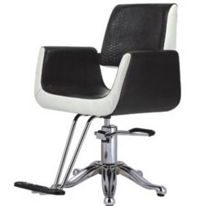 all purpose chair beauty salon styling chair for sale 